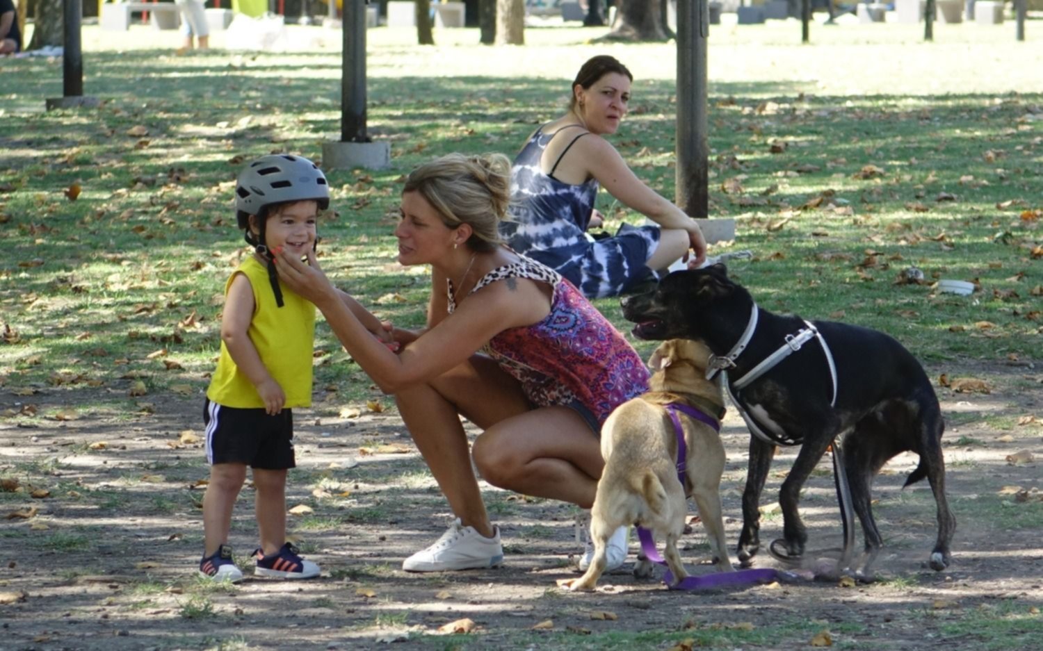 La semana arranca con algunas nubes y 27º de máxima en La Plata: ¿cómo sigue el clima?