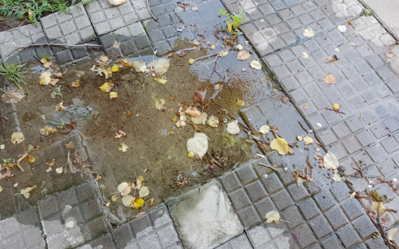 Pérdidas de agua en la Región deja a los vecinos sin servicio