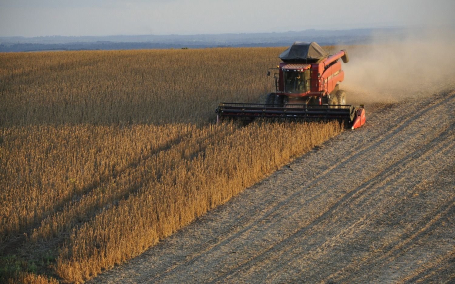 El Gobierno afirmó que no subirán las retenciones a la producción de maíz, soja y trigo