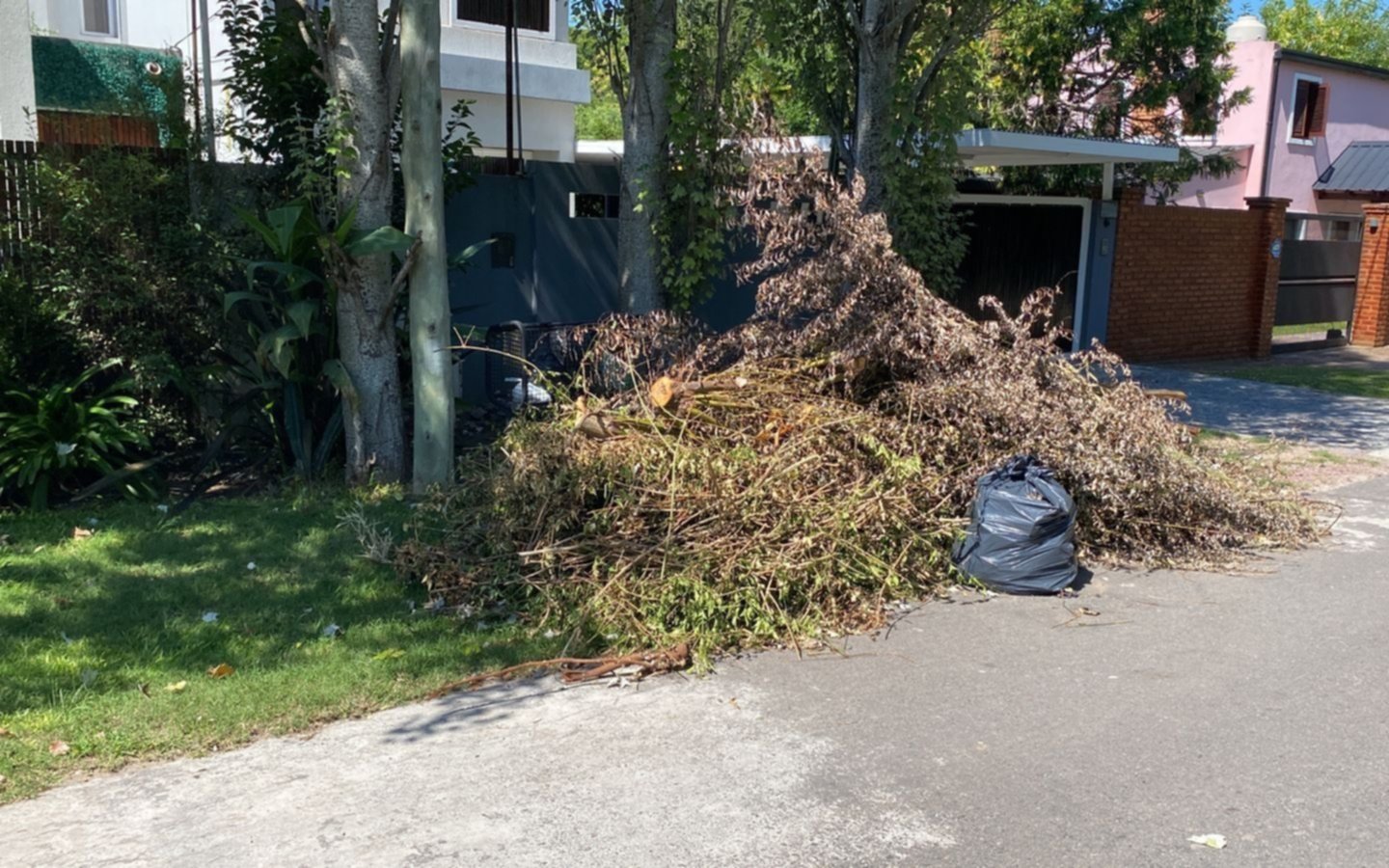Denuncian falta de recolección de residuos no habituales en Villa Elisa