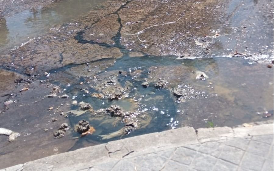 Desbordes cloacales y pérdidas de agua, un dolor de cabeza para los platenses