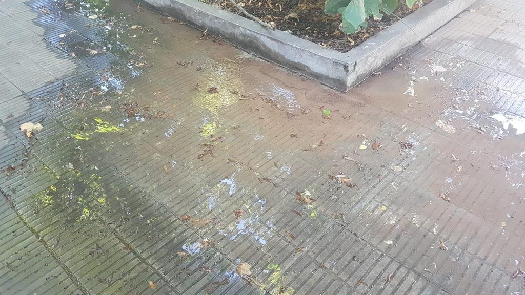 Vereda “inundada” por una pérdida de agua en 19 y 70