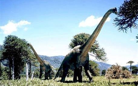 Neuquén: recatan restos fósiles de un dinosaurio herbívoro que vivió hace 85 millones de años