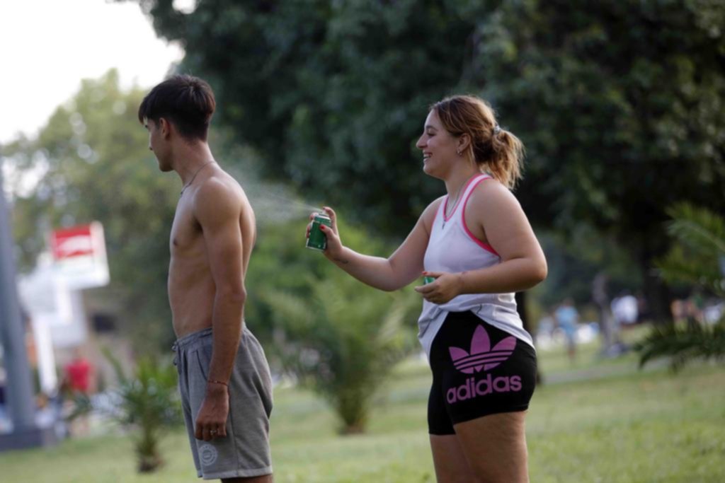 Invasión de mosquitos: tras las lluvias no paran de picar