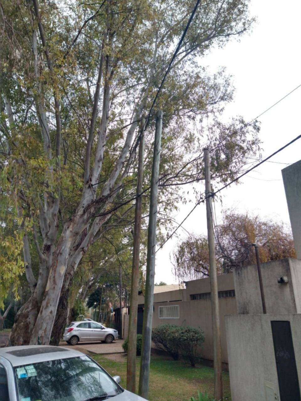 Reclamo por una luminaria pública que no funciona en una cuadra de City Bell