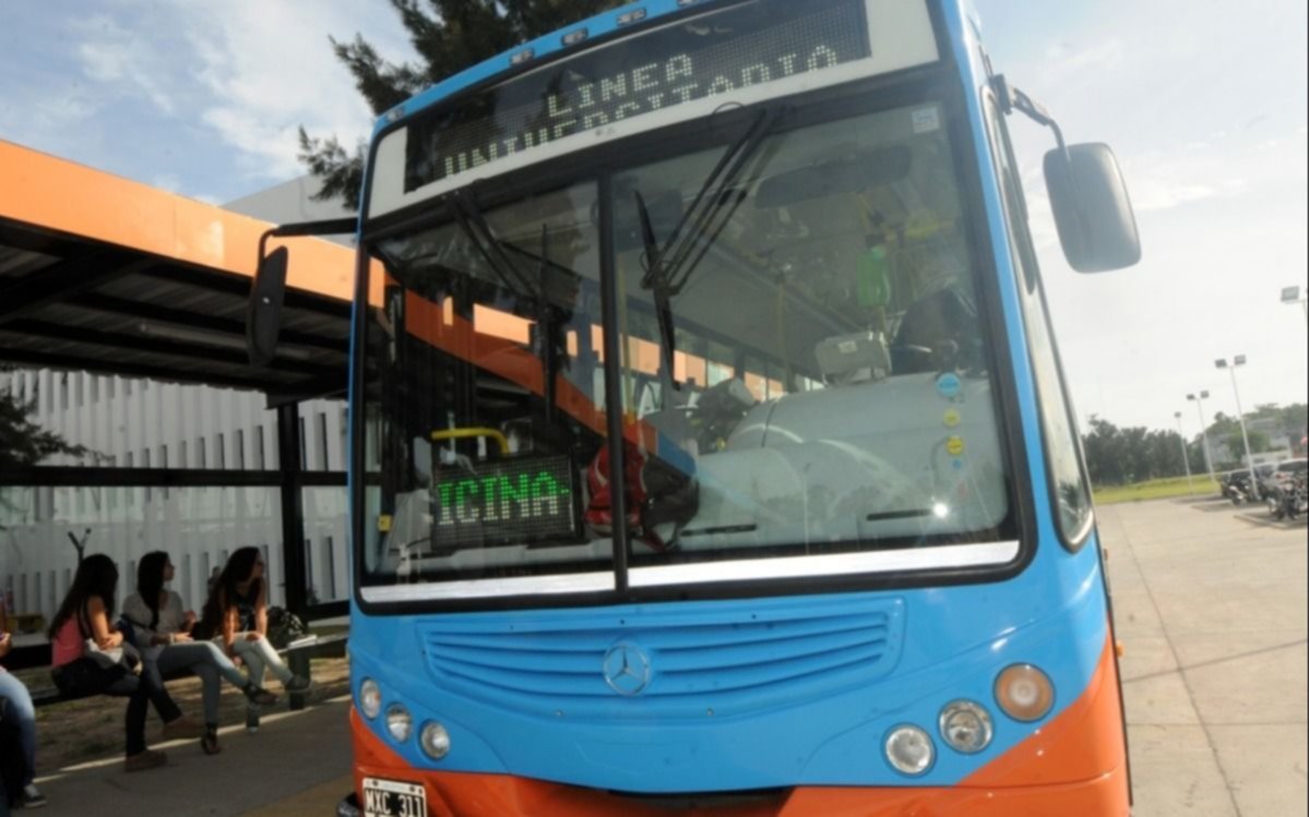 Los estudiantes de la UNLP ya pueden inscribirse al boleto educativo gratuito: mirá cómo acceder