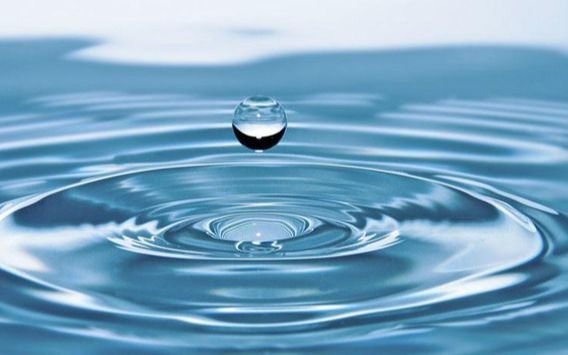 ¿Lo sabías? Se celebra este martes 22 de marzo el Día Mundial del Agua: movida en La Plata