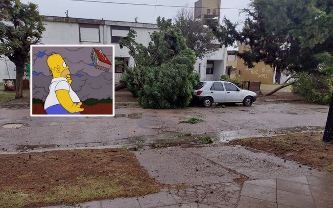El temporal de Bahía Blanca se vivió a través de las redes sociales: la reacción de los usuarios