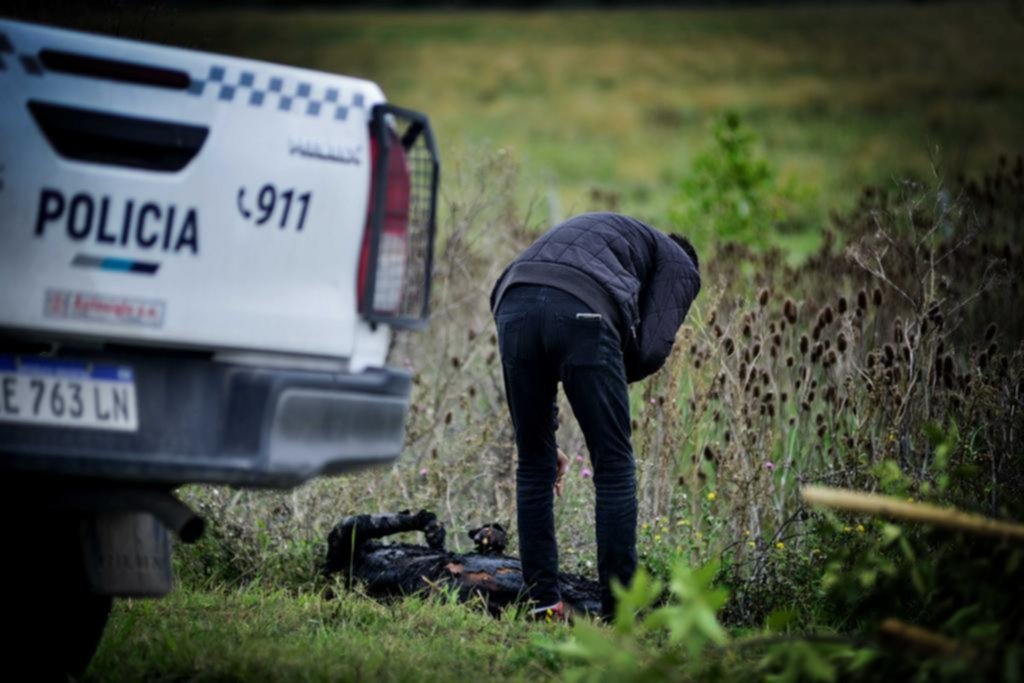 Hallan un cuerpo calcinado en ruta 11 y apuntan a un ajuste de cuentas