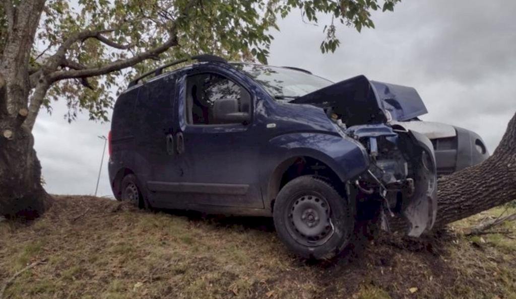 Despistó por manchas de gasoil y terminó derribando un árbol