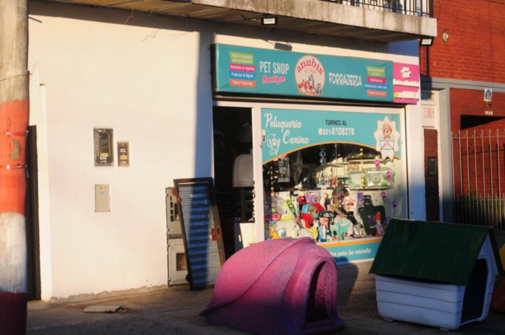 Le echó gas pimienta y persiguió al delincuente