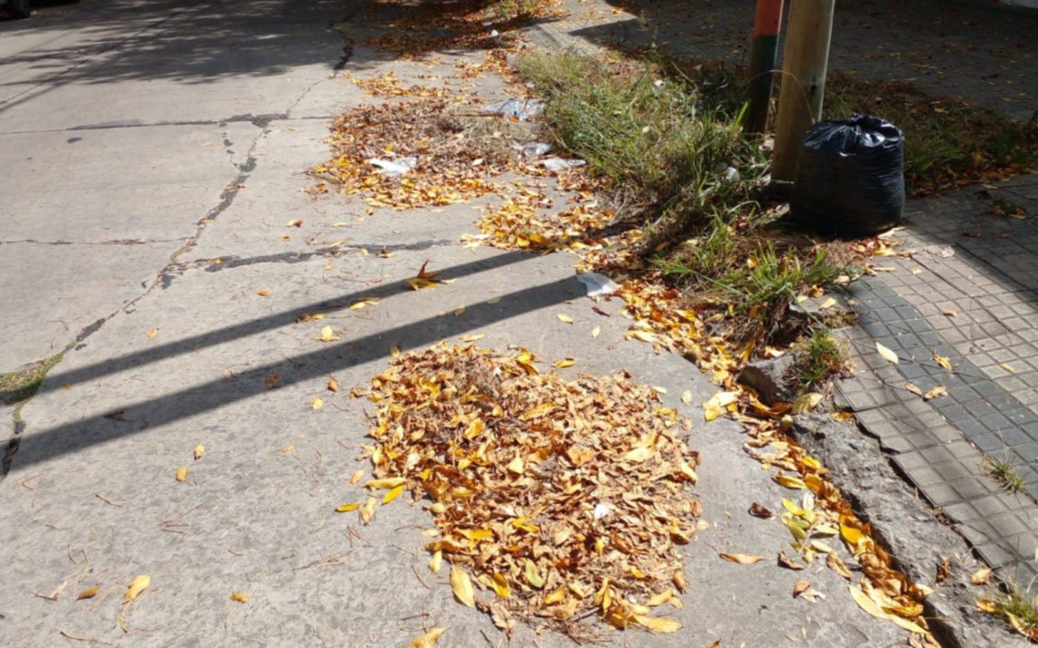 La basura se acumula en las veredas, los vecinos reclaman por su limpieza en Barrio Norte