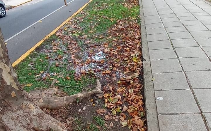 En pleno centro, una pérdida de agua cumple varias semanas sin solución