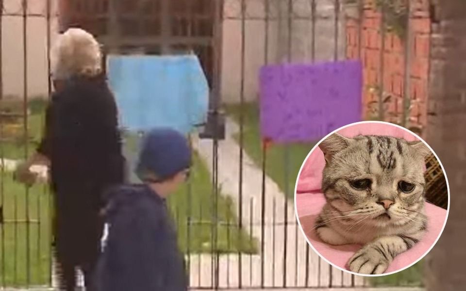 Todo un barrio de Ensenada rebelado contra el "asesino de gatitos"