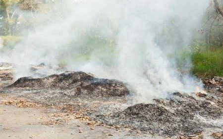 Un incendio alarmó a los vecinos de Colonia Urquiza