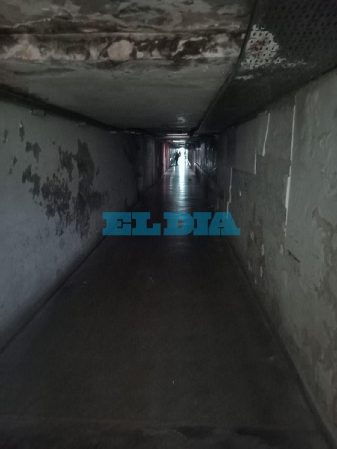 Los “tenebrosos” pasillos del hospital San Martín de La Plata: “Sin luz, charcos de agua y cables colgando”