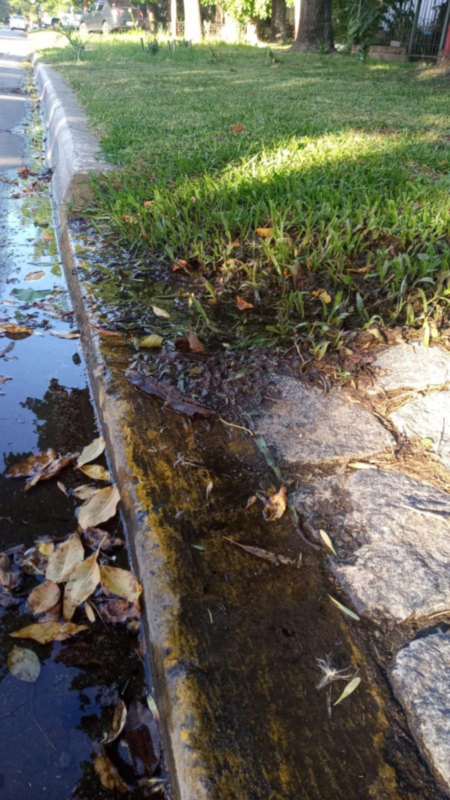Derroche de agua en 464 entre 13 C y diagonal 4