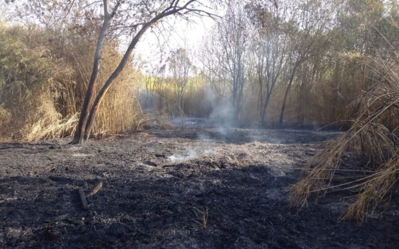 La situación del Parque Pereyra llegó al Concejo Deliberante