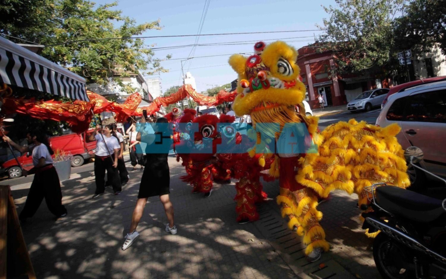 FOTOS. Con danza y dragones el centro platense anticipó lo que será el Año Nuevo Chino