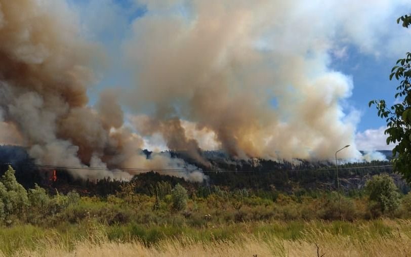 Se desató un feroz incendio forestal en El Bolsón: creen que fue intencional 