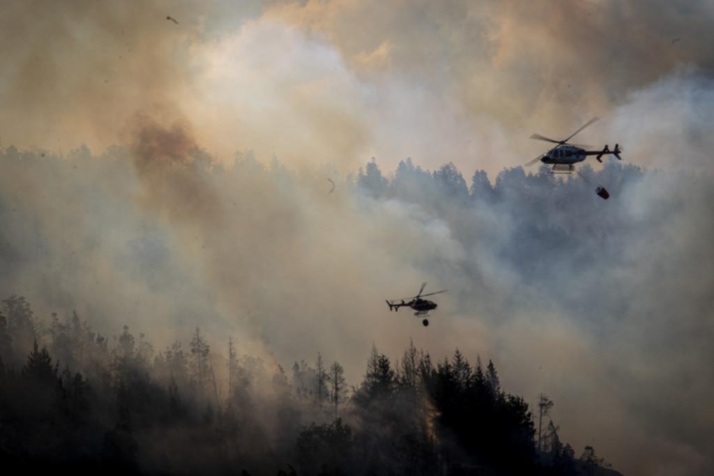 El incendio en El Bolsón afectó vegetación nativa