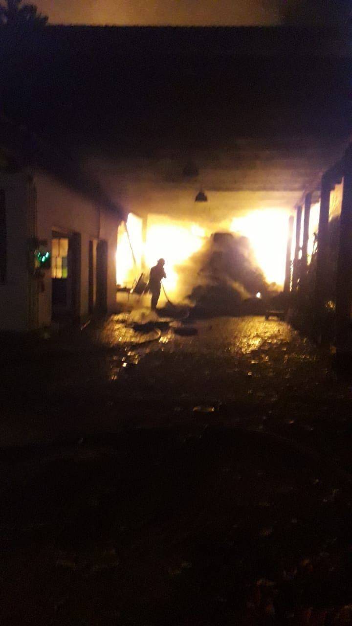 Horror: murieron calcinados 8 caballos que quedaron atrapados en un incendio en La Plata