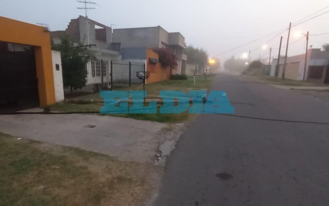 A oscuras por una "poda mal hecha"