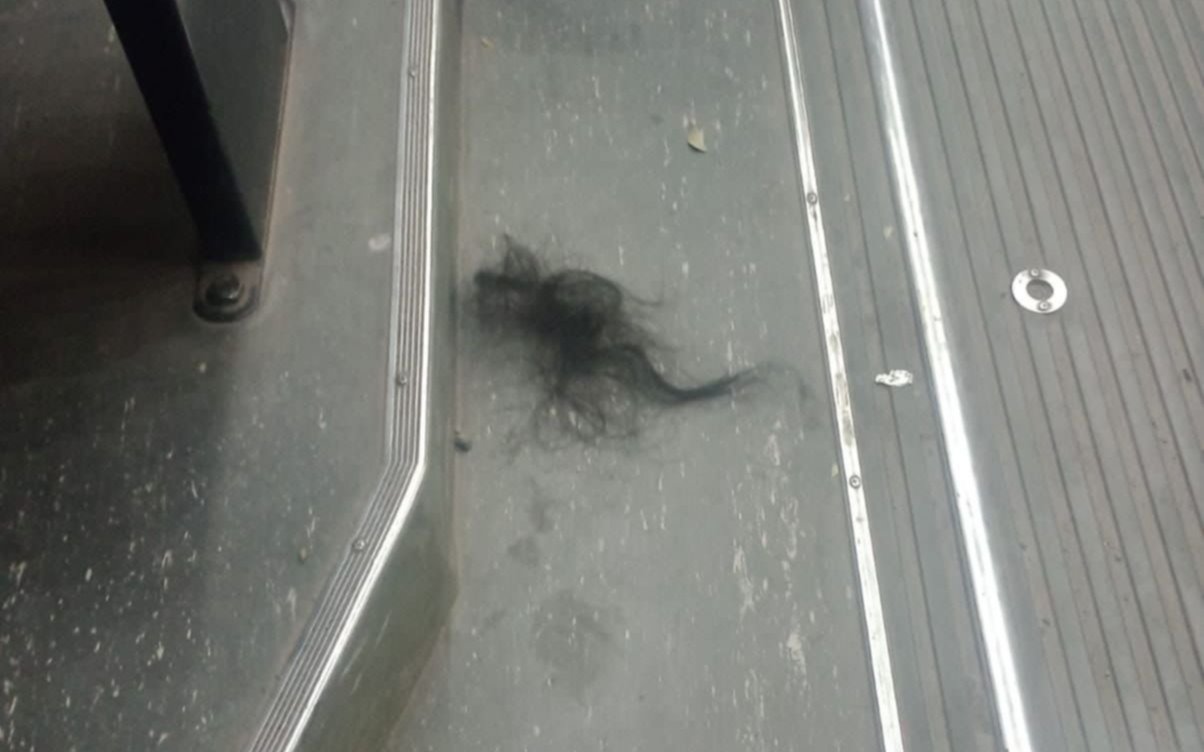 Violenta reacción de una mujer en un micro de La Plata: le arrancó los pelos a una pasajera y golpeó a otra