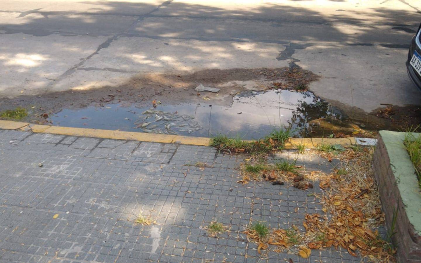 Otra pérdida de agua genera bronca en Barrio Norte