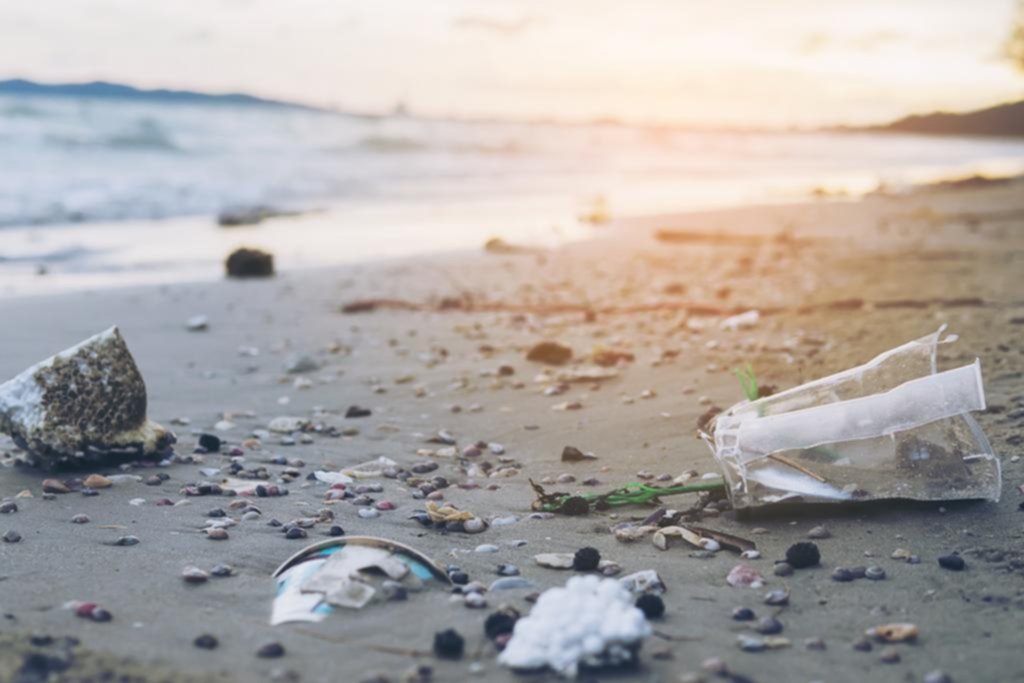 Océanos contaminados: las playas locales, repletas de plástico