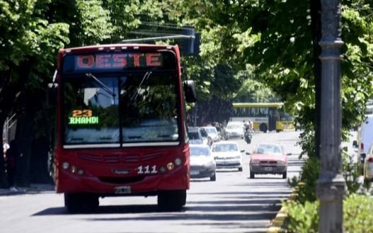 Este sábado, el transporte público será gratuito para las mujeres en La Plata, Berisso y Ensenada
