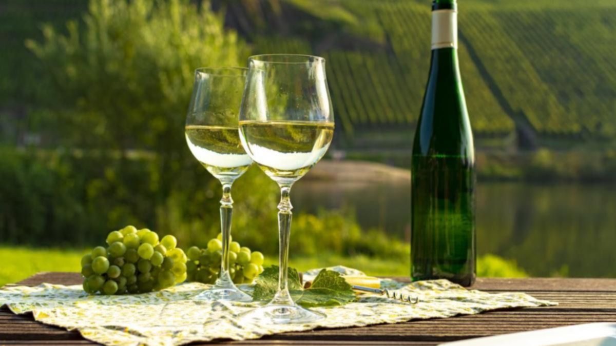 La uva Riesling tiene su día de festejo