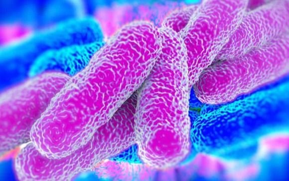 Legionella en La Plata: qué es, cómo se transmite, síntomas y por qué puede ser mortal
