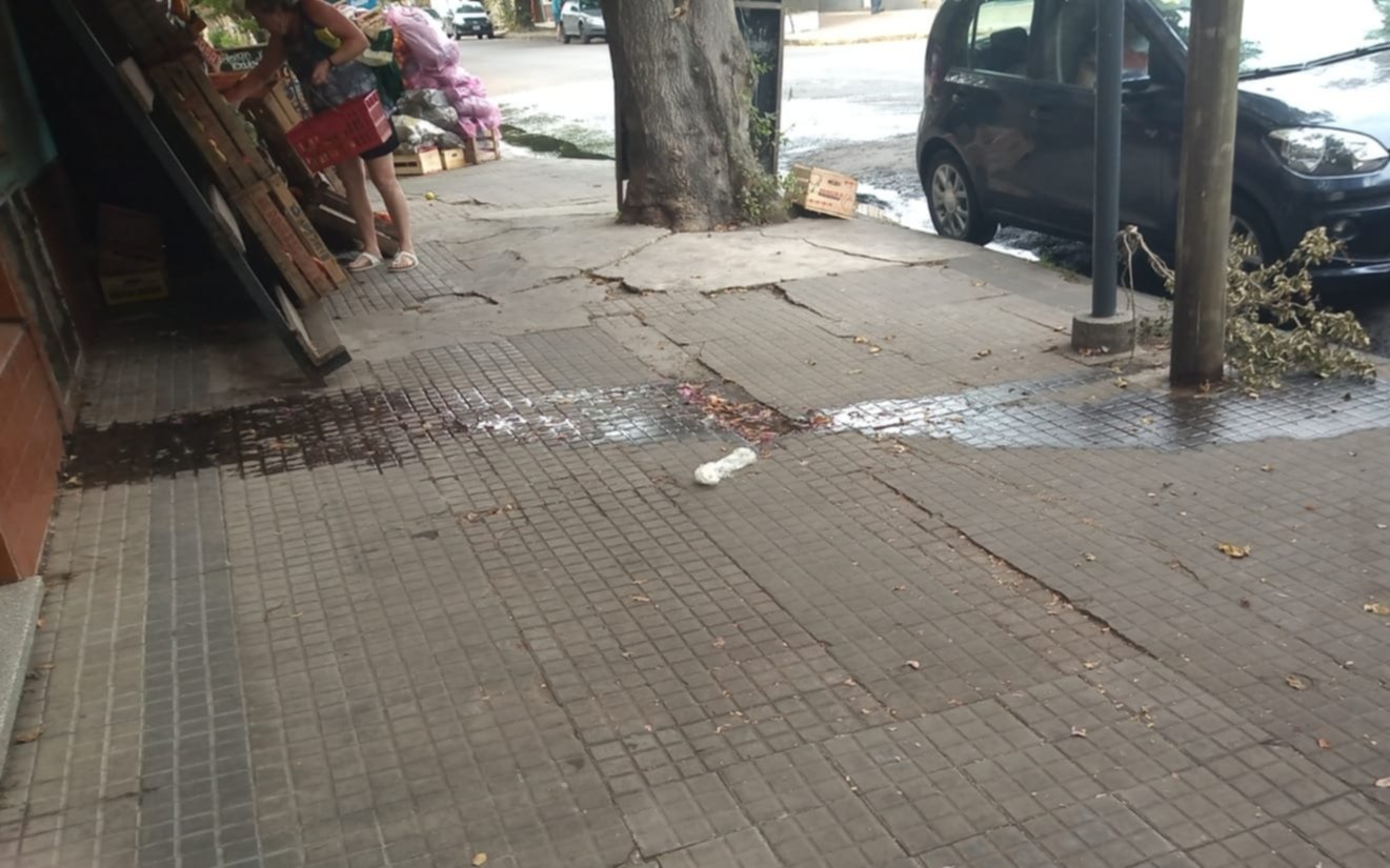 Reclamo por un brote de agua desde la pared en Meridiano V