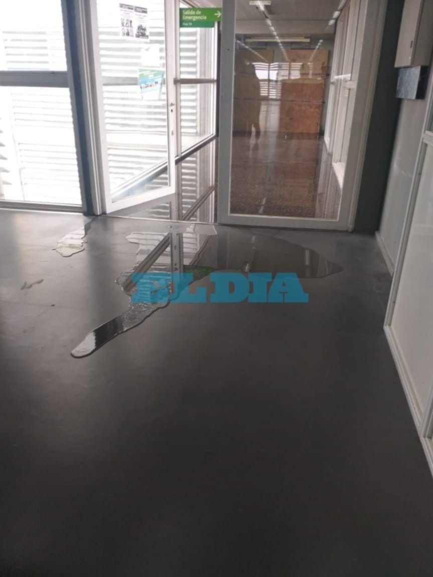 Aseguran que un piso de la Torre 1 quedó tapado de líquido cloacal