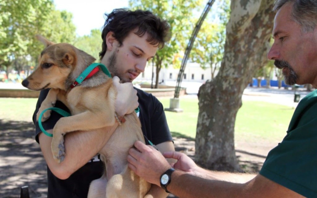 ¿En qué barrio de La Plata realizarán vacunación gratuita de perros y gatos ?