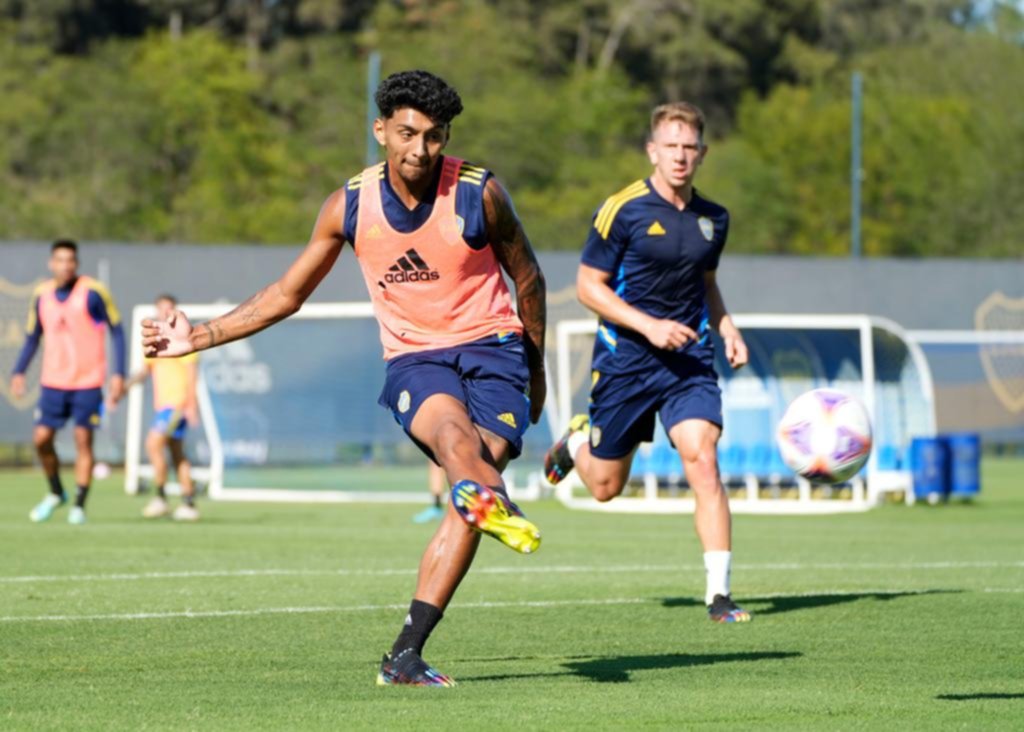 Ibarra meterá mano en el equipo que viajará a Chaco