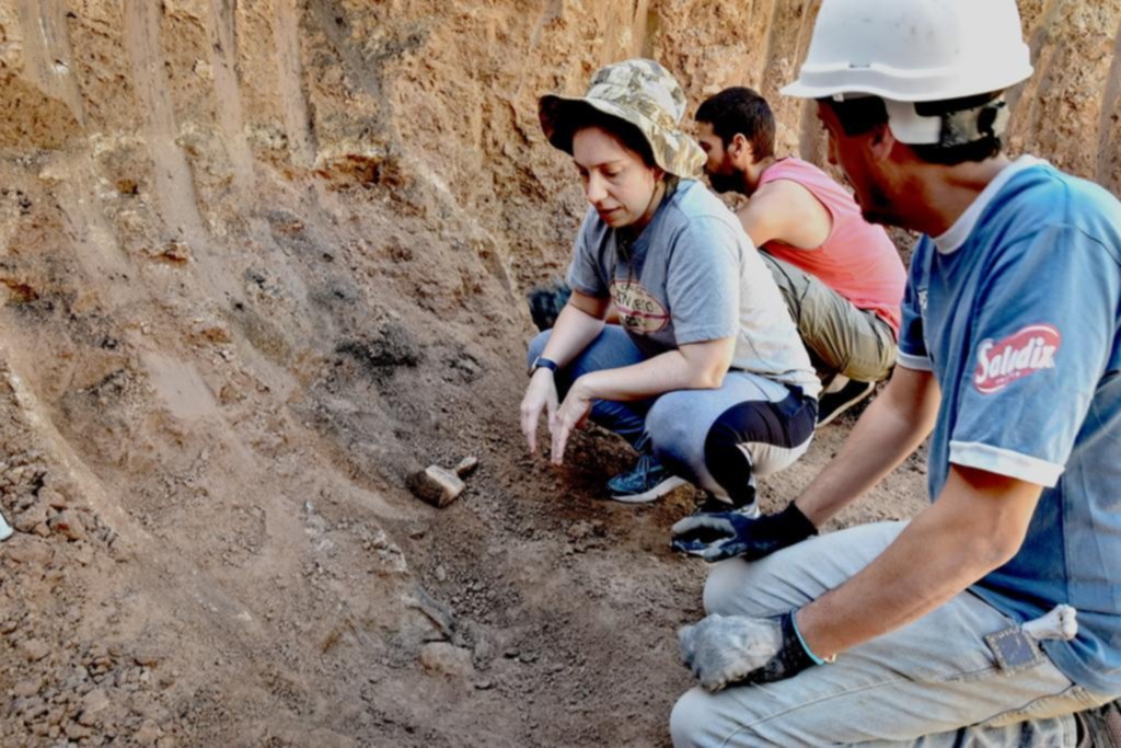 Obreros hallaron los restos de un Gliptodonte