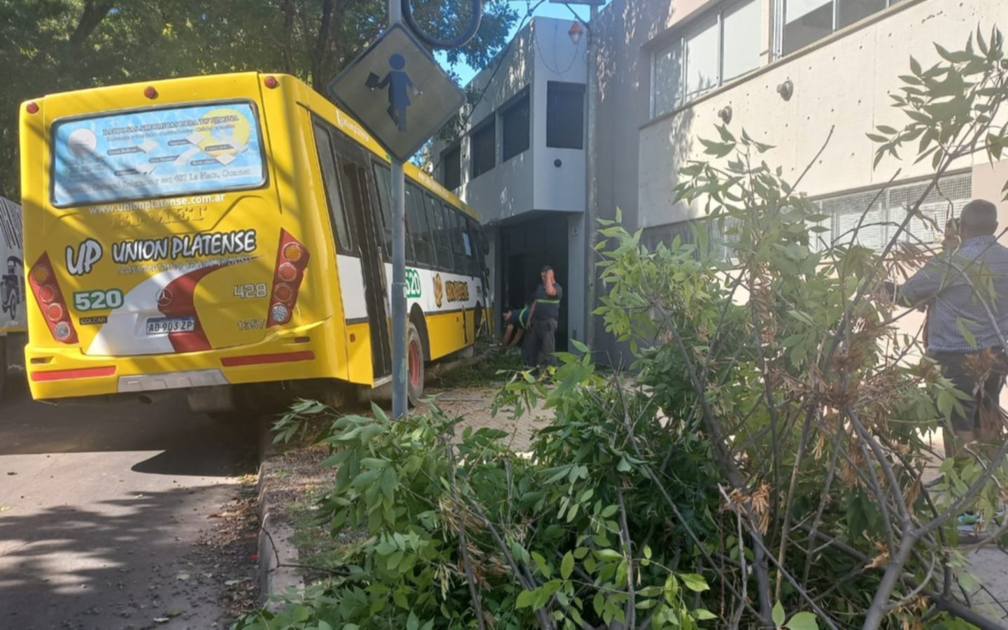 La Plata: un colectivo se estrelló contra un árbol y casi termina dentro de un edificio