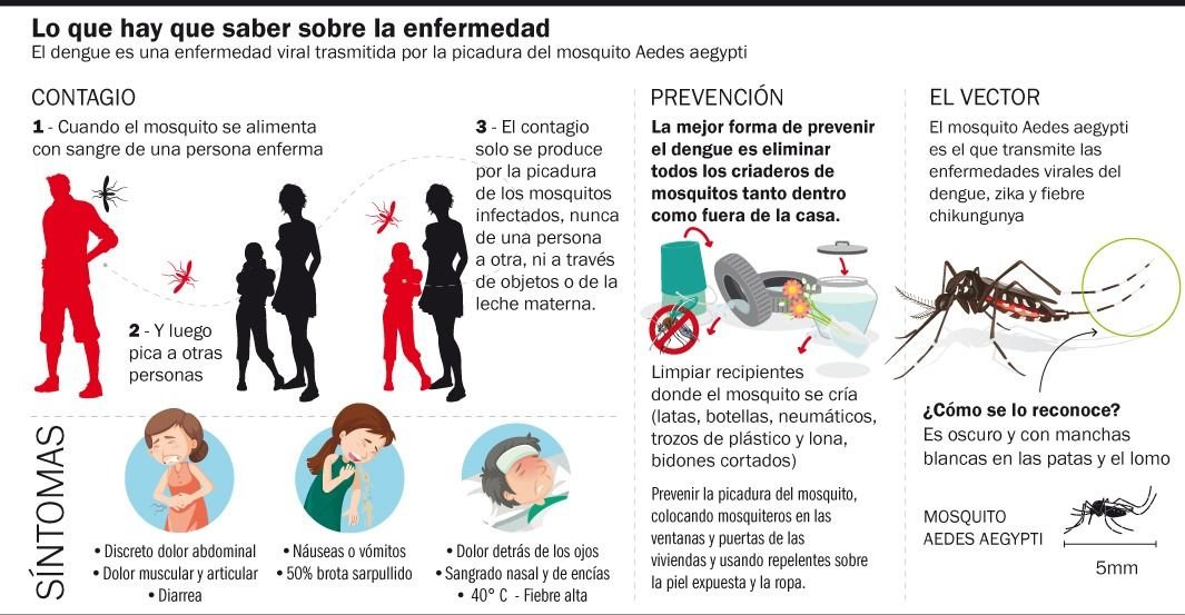 Brote de dengue: qué se sabe de los contagios en La Plata y del caso fatal