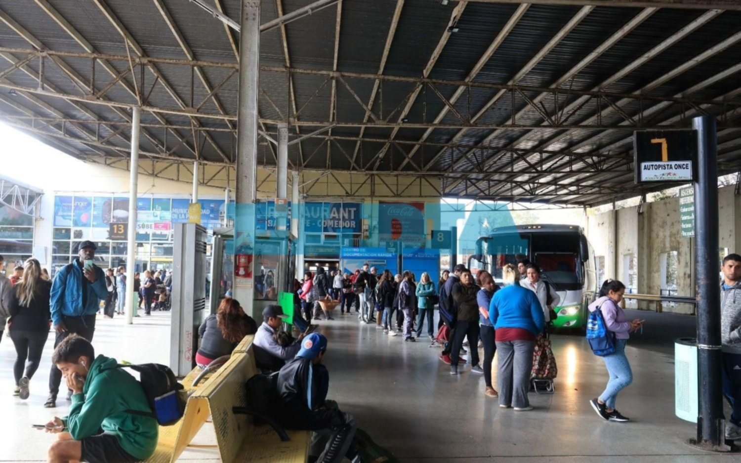 Tras el caos en La Terminal por recorte de micros entre La Plata y Capital: sancionan a empresas