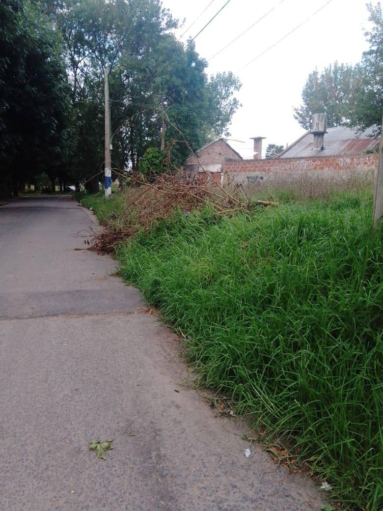 Reclamo por residuos y pastizales en Barrio Jardín