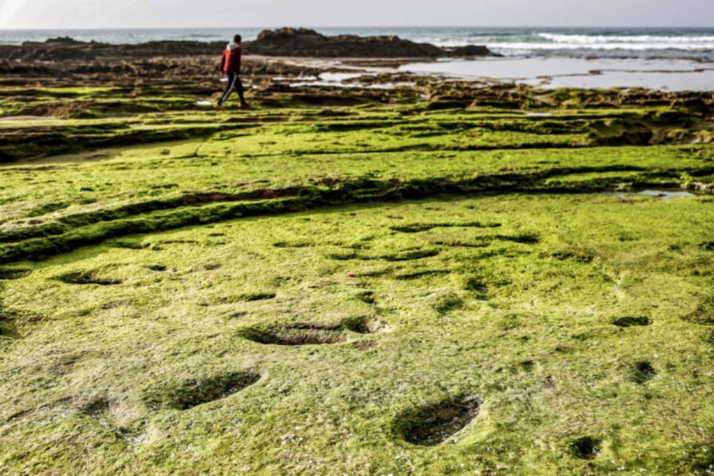 Encuentran en Marruecos huellas de pasos humanos de más de 100 mil años