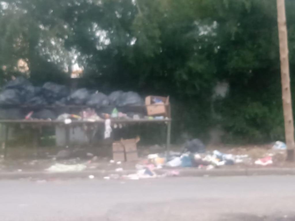 Un asco por la basura en la calle, en 523 y 22