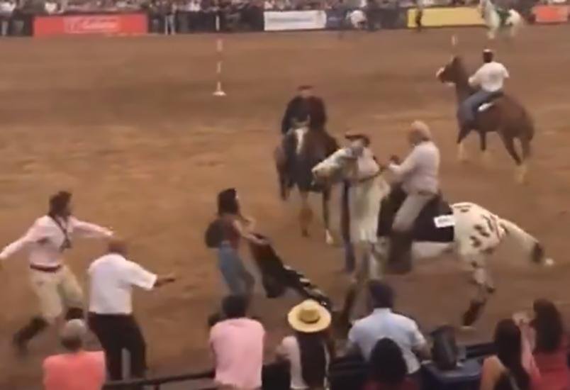 Activistas veganos contra una muestra en La Rural