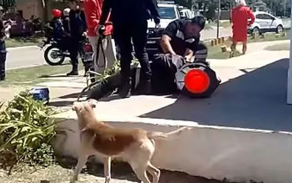 El crimen del fotógrafo durante un asalto en Quilmes: un detenido y siguen los allanamientos