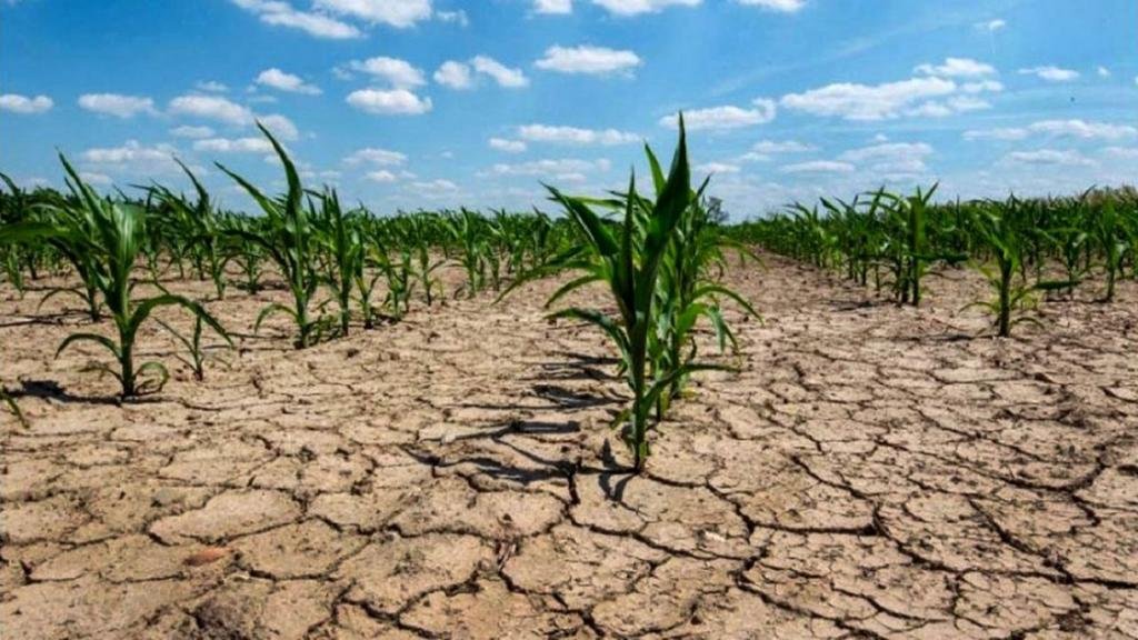 Alerta por La Niña: llegaría en octubre y sería intensa