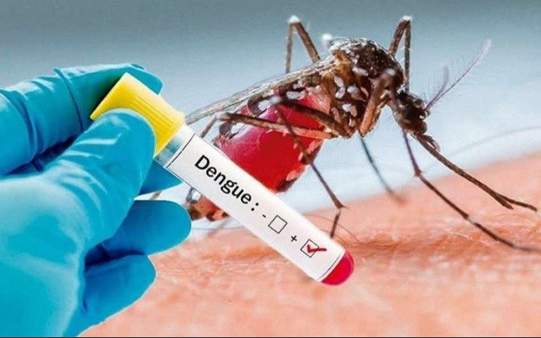 El dengue no da tregua en el país y se cobra otras cinco vidas