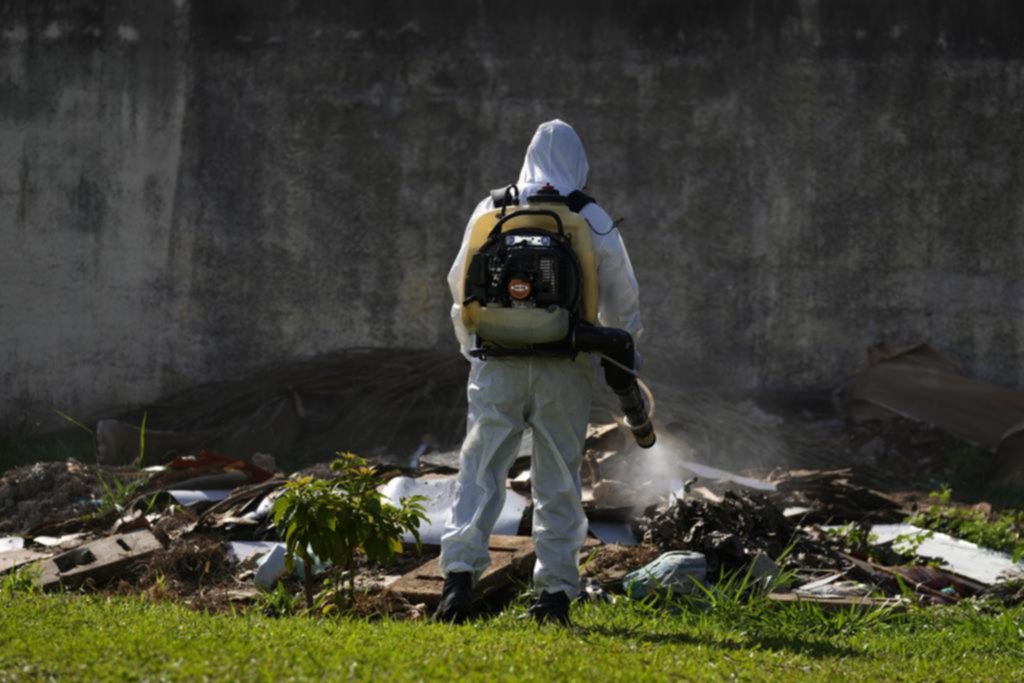 Contagios de dengue: temen que superarán el récord de 2023