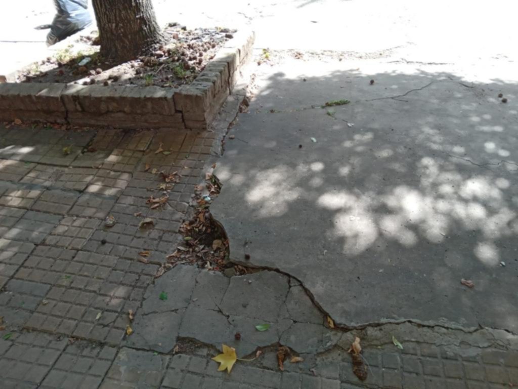 Advierten sobre problemas en la vereda y las cañerías